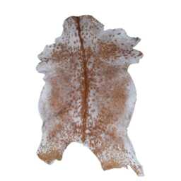 Brown & White Goat Skin Rug Natural Hide Throw - 36x24 Inches - thumbnail 2