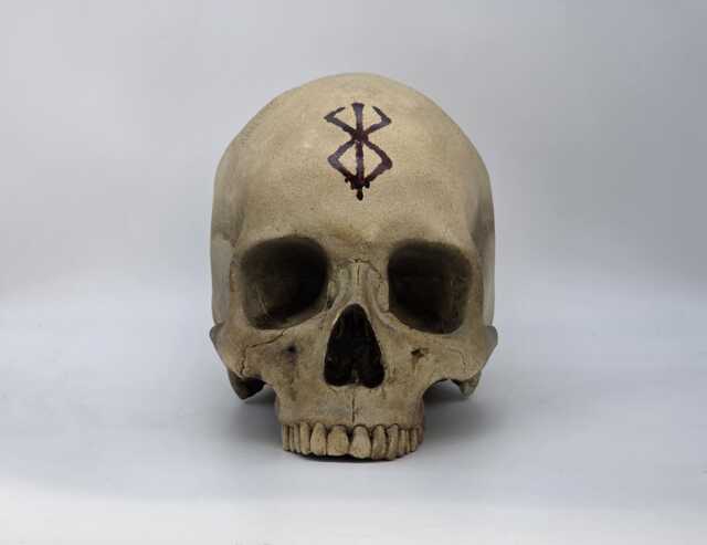 Berserk . Realistic Plaster Of Paris Life Size Human Skull Replica - image 1