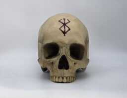Berserk . Realistic Plaster Of Paris Life Size Human Skull Replica - thumbnail 1