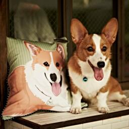 Basset Hound Pillow - thumbnail 4