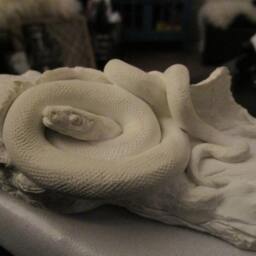 Custom Shelf/Desk Sculptures And/Or Paperweights - thumbnail 2