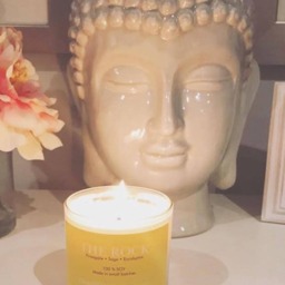 The Rock 8 Oz. Tumbler Pineapple Sage Eucalyptus Hamptons Handpoured Signature Village Series 100% Soy Candle Hand Poured - thumbnail 2