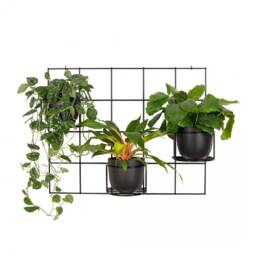 Metal Wall Plant Hanger, Grid Trellis With 3 Baskets