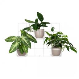 Metal Wall Plant Hanger, Grid Trellis With 3 Baskets - thumbnail 3