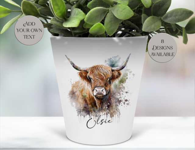 Watercolour Highland Cow Plant Pot - Personalised Pen/Makeup Brush Organizer - image 1