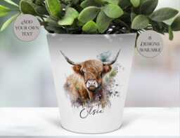 Watercolour Highland Cow Plant Pot - Personalised Pen/Makeup Brush Organizer - thumbnail 1