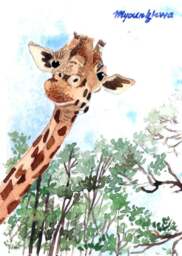 A Fabulous Day, Limited Edition, Wildlife Art Print - thumbnail 1