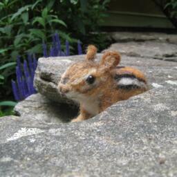 Chippi The Chipmunk, Needle Felted Animal Fiber Art - thumbnail 2