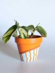 Hand Painted Terracotta Plant Pot With Drainage Customisable Colours & Sizes Optional Saucers - thumbnail 1