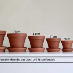 Hand Painted Terracotta Plant Pot With Drainage Customisable Colours & Sizes Optional Saucers - thumbnail 3