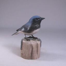 Black-Throated Blue Wrabler Wood Carving