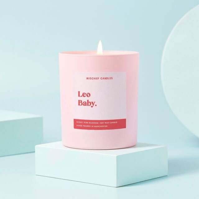 Funny Leo Birthday Gift Baby Star Sign Candle Soy Wax Zodiac