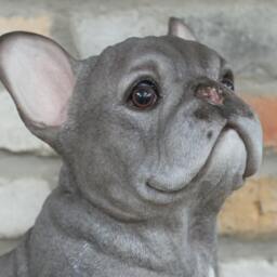 Sitting Grey French Bulldog Ornament - Realistic Frenchie Gifts Blue - thumbnail 2