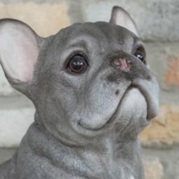 Sitting Grey French Bulldog Ornament - Realistic Frenchie Gifts Blue - thumbnail 4