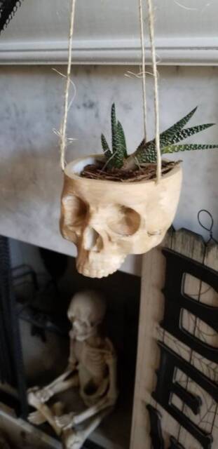 Skull Hanging Planter For Indoor Or Outdoor Succulent Small Plant Halloween Decor Skeleton Scary Ghost Pot Brain - image 1