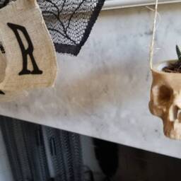 Skull Hanging Planter For Indoor Or Outdoor Succulent Small Plant Halloween Decor Skeleton Scary Ghost Pot Brain - thumbnail 2