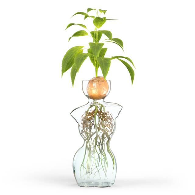 Woman Body Form Glass Vase Unique Plant Propagation Decor - image 1