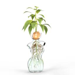 Woman Body Form Glass Vase Unique Plant Propagation Decor - thumbnail 2