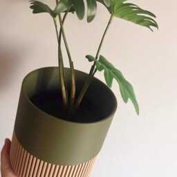 Two Tone Wood Plant Planter, Color Block Large Pot, Boho Decor - Up To 10 - thumbnail 4