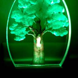 Summer Tree Night Light - thumbnail 4