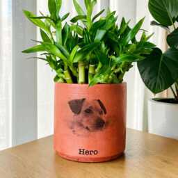 Pet Memorial Photo Planter - Personalized Dog Or Cat Loss Gift - thumbnail 2