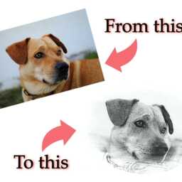 Pet Memorial Photo Planter - Personalized Dog Or Cat Loss Gift - thumbnail 3
