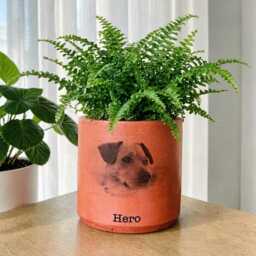 Pet Memorial Photo Planter - Personalized Dog Or Cat Loss Gift