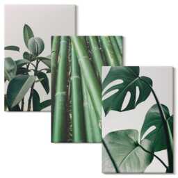 Canvas Art Set Of 3 - Bamboo Stems Houseplant & Monstera Leaves, Green Wall Art, Plants Flowers Hanging Piece - thumbnail 2