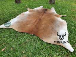 Gorgeous Xxl Cowhide Rug Peau De Vache Cow Hide - thumbnail 1