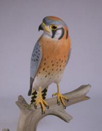 9.5 Inch American Kestrel Male Hand Carved Wooden Bird Carving - thumbnail 2