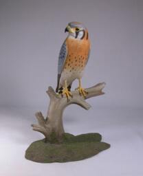 9.5 Inch American Kestrel Male Hand Carved Wooden Bird Carving - thumbnail 1