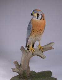 9.5 Inch American Kestrel Male Hand Carved Wooden Bird Carving - thumbnail 3