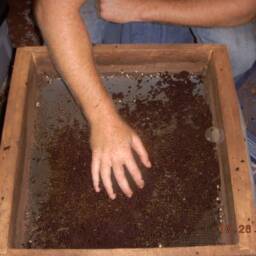 Build Your Worm Farm - thumbnail 4