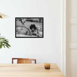Vintage Naomi Campbell Print, 101 Dalmatians Retro Poster, Fine Art Photography Wall Art, Museum Quality Print Classic Black & White - thumbnail 2