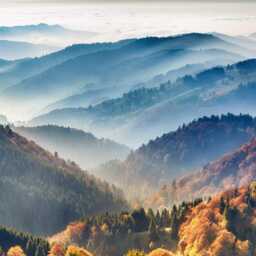 Forest Landscape Wall Mural - Peel & Stick Wallpaper For Bedroom Living Room - thumbnail 3