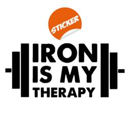 Bodybuilding Wall Gym Vinyl Sticker - Fitness Decor Workout Decal Bodybuild Bodybuilder Quote Decals Bodibuilding Training Sport Murals - thumbnail 2