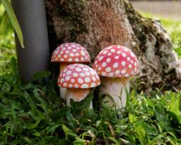 Mushroom Stone Carving, Garden D??cor, Statue, Mushroom, Room Home Christmas Gift, Housewarming