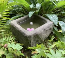 Reconstituted Stone Garden Rustic Bird Bath/Mini Pond Trough - thumbnail 1