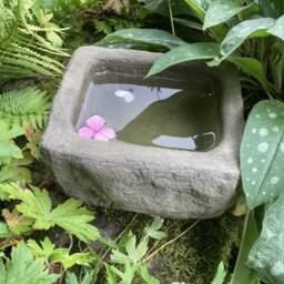 Reconstituted Stone Garden Rustic Bird Bath/Mini Pond Trough - thumbnail 3