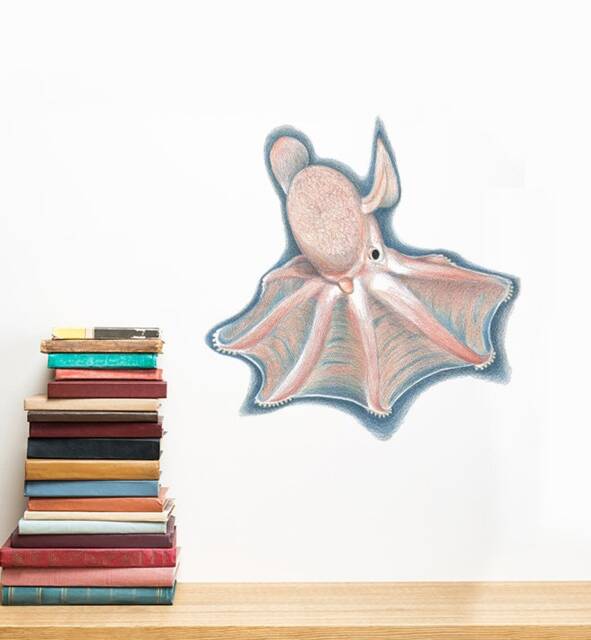 Spread Out Dumbo Octopus Wall Sticker Decal - Kids Stickers, Animals Childrens Decals, Art, Room