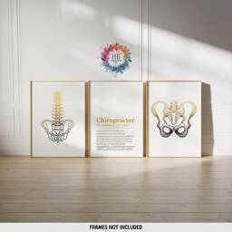 Chiropractor Definition Prints - 3 Line Art Posters - Chiropractic Office Decor Anatomy Wall Chiro Clinic Artwork Medical Room - thumbnail 2