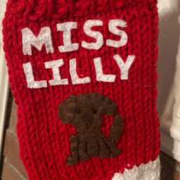 Labrador Dog Stocking, Custom Christmas Stocking For Retriever - thumbnail 4