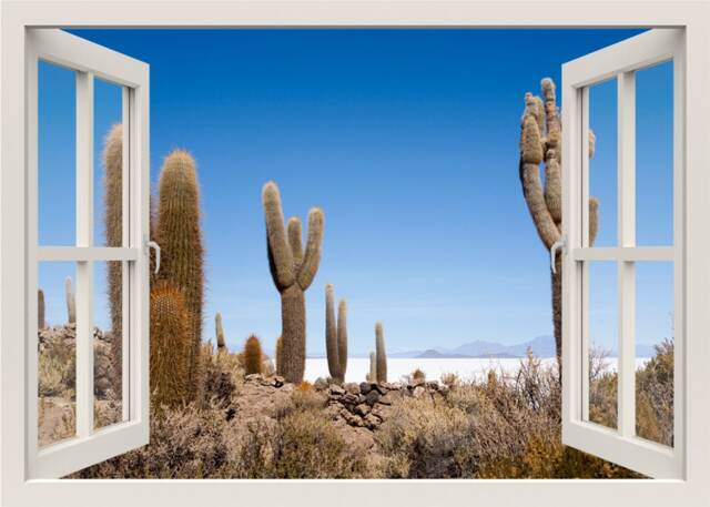 Cactus Wall Sticker, Nature Desert Mural, Decal, 3D Window View Frame Home Decor