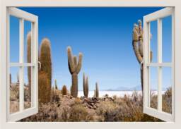 Cactus Wall Sticker, Nature Desert Mural, Decal, 3D Window View Frame Home Decor