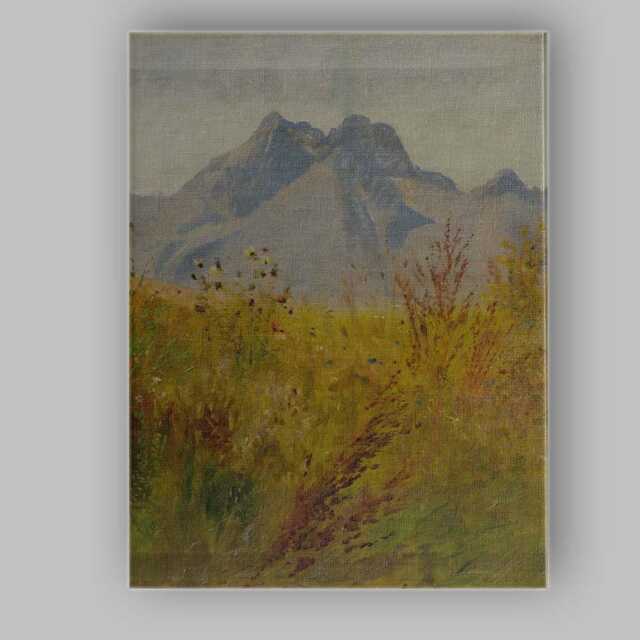 Wildflower Mountain Meadow Impressionist Landscape Canvas Wall Art Print Decor Picture Ready To Hang - image 1