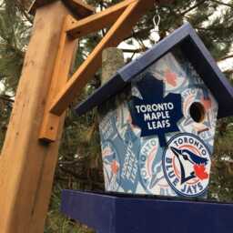 Toronto Fan Bird Feeder - thumbnail 3