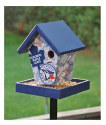 Toronto Fan Bird Feeder