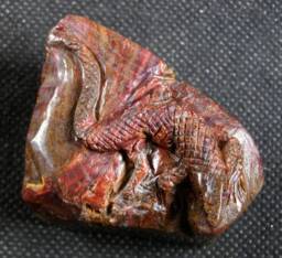 4.08Oz. Natural Pietersite Lizard Carving, Chatoyant Carved Gemstone B2503