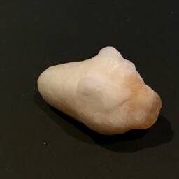 One Of A Kind Randolph Johnson's Hand Carve Impression Spirit Leopard in Citrine Crystal Quarts - thumbnail 4