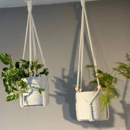 Adjustable Macrame Plant Hanger No Tassel Indoor, Hanging Planter, Indoor Wall - thumbnail 3